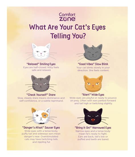 cat eyes meaning pictures|Cat Eye Meaning: Reading your Cat's Eyes .